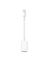 Apple Lightning to USB Camera Adaptor, 0,2m, Lightning to cam.USB - nr 24