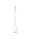 Apple Lightning to USB Camera Adaptor, 0,2m, Lightning to cam.USB - nr 25