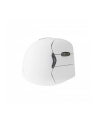 Mysz WL Evoluent Vertical Mouse4, right-handed Wireless RH (VM4RW) - nr 31