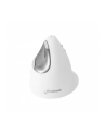 Mysz WL Evoluent Vertical Mouse4, right-handed Wireless RH (VM4RW) - nr 32