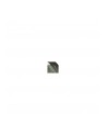 Mysz WL Evoluent Vertical Mouse4, right-handed Wireless RH (VM4RW) - nr 36
