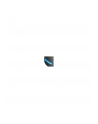 Mysz WL Evoluent Vert.Mouse4, right-handed - nr 34