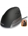 Mysz WL Evoluent Vert.Mouse St., Storm,Right-handed 800-2600dpi - nr 25