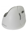 Mysz WL Evoluent Vert.Mouse4 MAC, right-handed / MAC Edition - nr 23