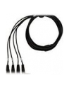 Cable for KX-NS500/ KX-NS700 DHLC4 card - 4 Ports (2 DLC and 2 SLT ports) - nr 3