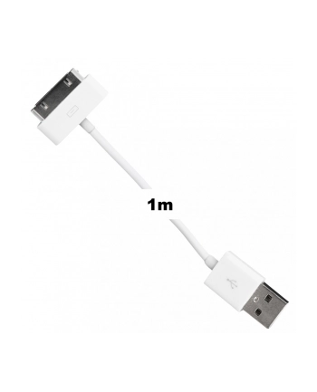 Whitenergy Kabel USB 2.0 do iPhone 4 transfer/ładowanie 100cm biały nr 2