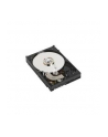 Fujitsu Storage Products HD SAS 12G 1.8TB 10K 512e HOT PL 2.5' EP - nr 8