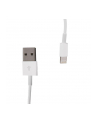 Whitenergy Kabel USB 2.0 do iPhone 5 transfer/ładowanie 100cm biały - nr 1