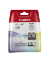 CANON Tusz PG-510/CL-511=PG510/CL511=2970B010  Zestaw Bk+Kolor  PG-510+CL-511 - nr 12