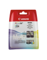 CANON Tusz PG-510/CL-511=PG510/CL511=2970B010  Zestaw Bk+Kolor  PG-510+CL-511 - nr 33