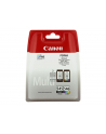 CANON Tusz PG-545/CL-546=PG545/CL546=8287B005  Zestaw Bk+Kolor  PG-545+CL-545 - nr 19
