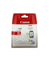 CANON Tusz Kolor CL-546XL=CL546XL=8288B001  300 str. - nr 9