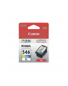 CANON Tusz Kolor CL-546XL=CL546XL=8288B001  300 str. - nr 13