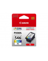 CANON Tusz Kolor CL-546XL=CL546XL=8288B001  300 str. - nr 22