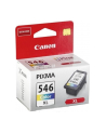CANON Tusz Kolor CL-546XL=CL546XL=8288B001  300 str. - nr 33