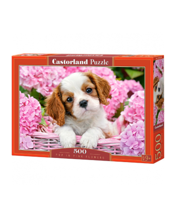 CASTOR 500 EL. Pies w różowych kwiatach nr 1