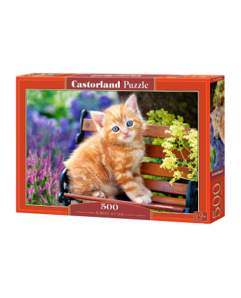 CASTOR 500 EL. Rude kot nr 2