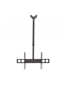 Manhattan Uchwyt sufitowy do TV LED/LCD/PLAZMA, 37-70'', 50kg, regulowany, VESA - nr 19