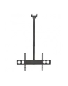 Manhattan Uchwyt sufitowy do TV LED/LCD/PLAZMA, 37-70'', 50kg, regulowany, VESA - nr 22