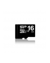 SILICON POWER 16GB, MICRO SDHC, CLASS 10 WITH SD ADAPTER - nr 27