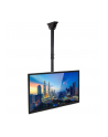 Techly Uchwyt sufitowy do TV LED/LCD/PLAZMA, 32-55'', 50kg, regulowany, VESA - nr 21