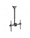 Techly Uchwyt sufitowy do TV LED/LCD/PLAZMA, 37-70'', 50kg, regulowany, VESA - nr 24