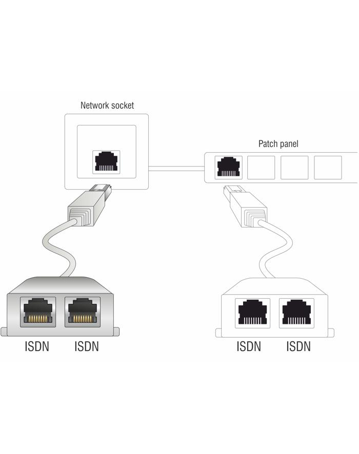 Delock adapter rozdzielacz spliter RJ-45 na 2XRJ-45 główny