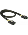 Delock kabel SAS 36pin (SFF 8087) M -> SAS 36pin (SFF 8087) M, 50 cm - nr 19