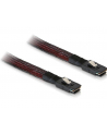 Delock kabel SAS 36pin (SFF 8087) M -> SAS 36pin (SFF 8087) M, 50 cm - nr 1
