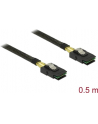 Delock kabel SAS 36pin (SFF 8087) M -> SAS 36pin (SFF 8087) M, 50 cm - nr 21