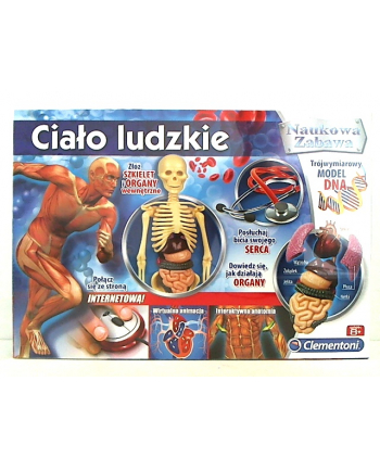 CLEMENTONI Ciało ludzkie