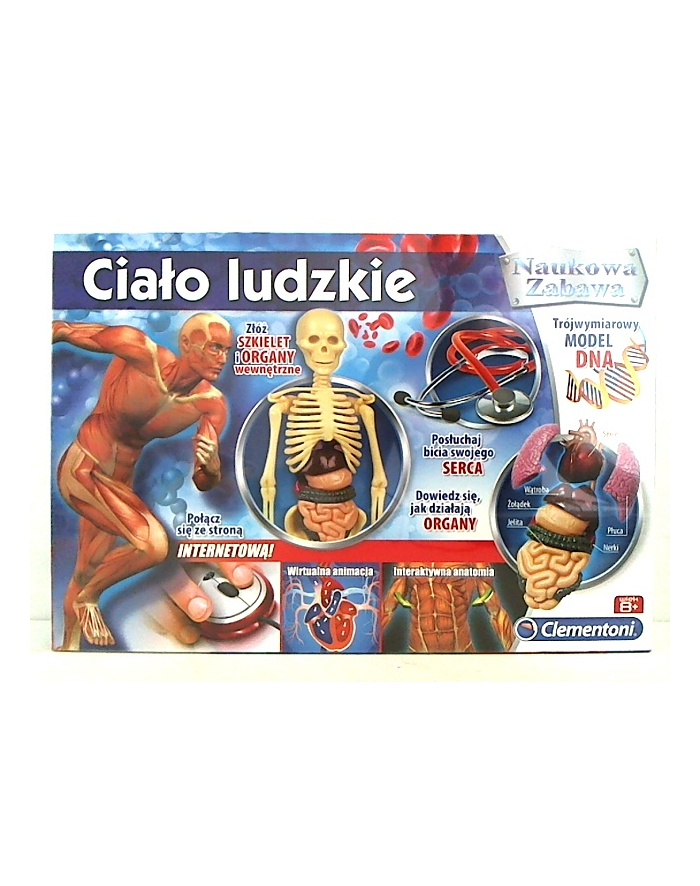 CLEMENTONI Ciało ludzkie główny