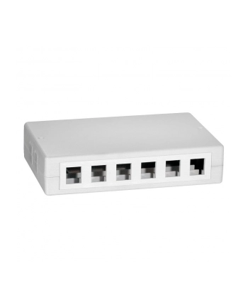 LOGILINK- Puszka natynkowa Keystone 12 portów UTP, biała nr 1