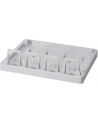 LOGILINK- Puszka natynkowa Keystone 4 porty UTP, biała - nr 2