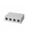 LOGILINK- Puszka natynkowa Keystone 4 porty UTP, biała - nr 9