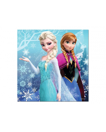 RAVEN. 3X49 EL. Kraina Lodu zimowe