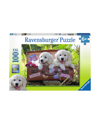 RAVEN. 100 EL. Podróżujące szczeniaki