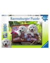 RAVEN. 100 EL. Podróżujące szczeniaki - nr 3