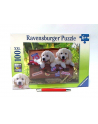 RAVEN. 100 EL. Podróżujące szczeniaki - nr 4
