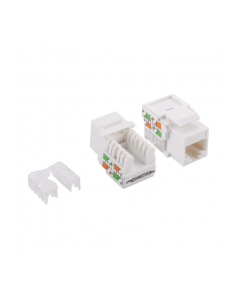 LOGILINK- Keystone Jack,  RJ45 Kat.5e UTP 90° LSA/IDC beznarzędziowe, białe nr 2