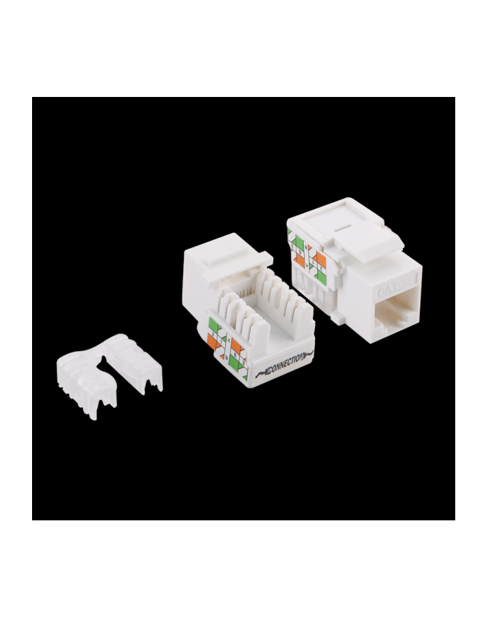 LOGILINK- Keystone Jack,  RJ45 Kat.5e UTP 90° LSA/IDC beznarzędziowe, białe główny
