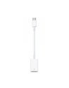 Apple USB-C to USB Adapter - nr 22