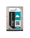 HDD int. 2,5 2TB Seagate ST2000NX0273, SAS 12Gb/s 7200rpm 128MB RAID - nr 6