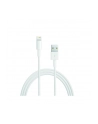 Apple przewód Lightning na USB (2 m) retail packed - nr 12