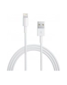Apple przewód Lightning na USB (2 m) retail packed - nr 24