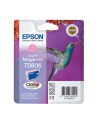 EPSON Tusz Jasny T0806=C13T08064011  8 ml - nr 15