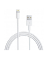 Apple przewód Lightning na USB (2 m) retail packed - nr 29