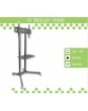 Techly Stojak mobilny do TV LCD/LED/Plazma 30''-65'' 60kg VESA pochylany z półką - nr 10