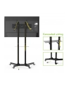 Techly Stojak mobilny do TV LCD/LED/Plazma 30''-65'' 60kg VESA pochylany z półką - nr 13