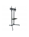Techly Stojak mobilny do TV LCD/LED/Plazma 30''-65'' 60kg VESA pochylany z półką - nr 19